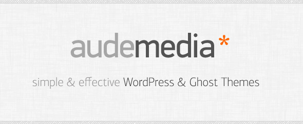 Audemedia 131