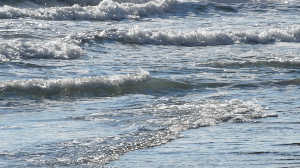 Shore Mediterranean Shore Mediterranean