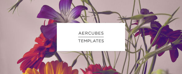 aercubes
