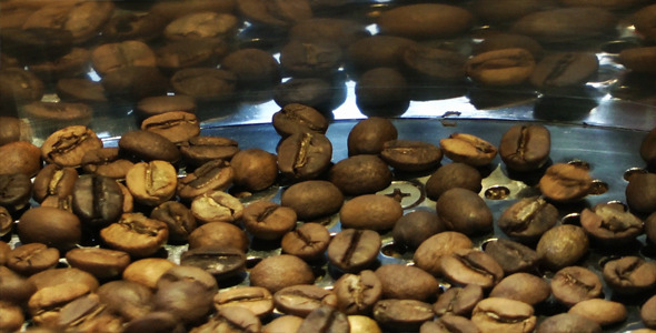 Coffee Roasting Machine 6 Coffee Roasting Machine 6