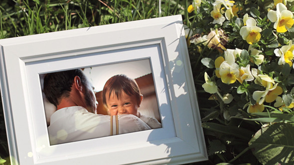 Photo Gallery Sun and Flowers Photo Gallery Sun and Flowers
