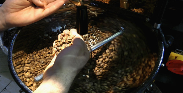 Coffee Roasting Machine Testing Coffee Roasting Machine Testing
