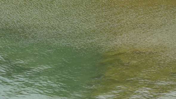 Water In Lake Water In Lake