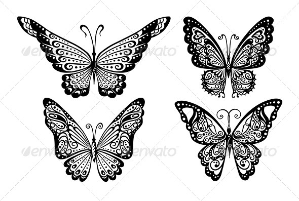 Butterflies Butterflies