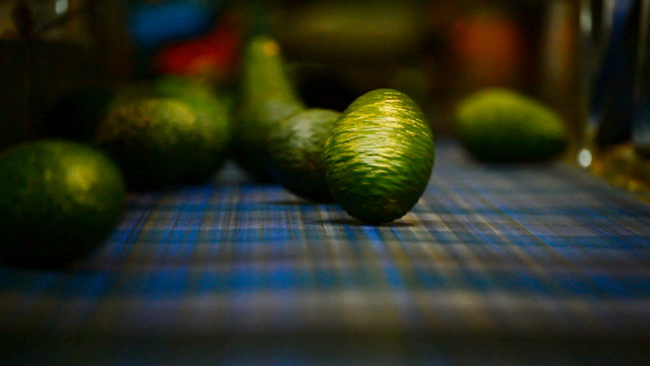 Hass Avocados in Packaging Line Hass Avocados in Packaging Line