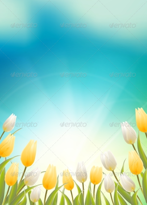 Tulips Background Tulips Background