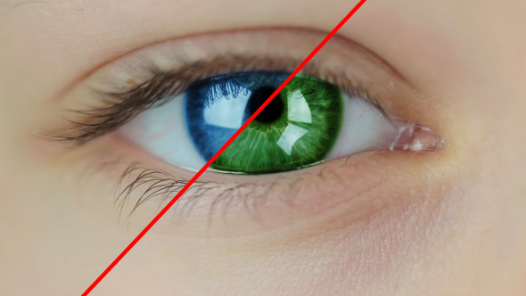 Multicolored Contact Lenses Multicolored Contact Lenses