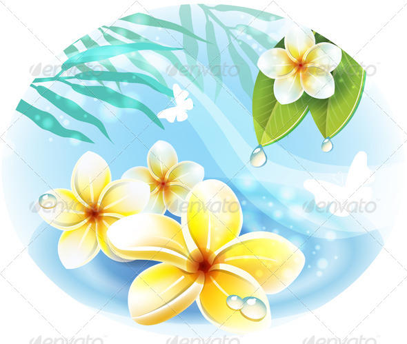 Frangipani Plumeria Flowers on the Water Frangipani Plumeria Flowers on the Water