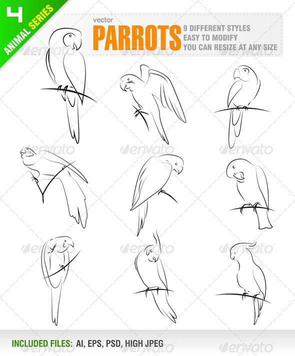 Parrots Parrots