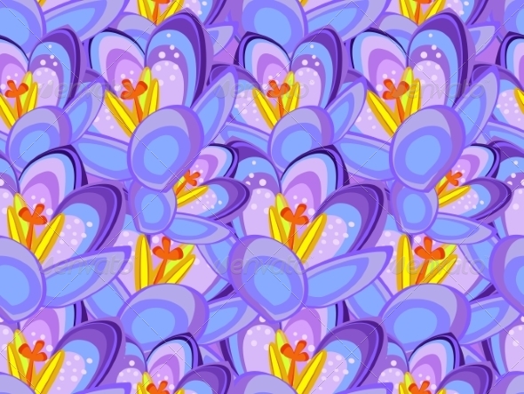 Crocus Flower Background Crocus Flower Background