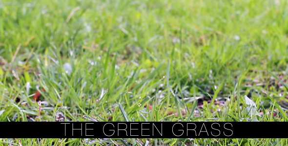 The Green Grass 4 The Green Grass 4