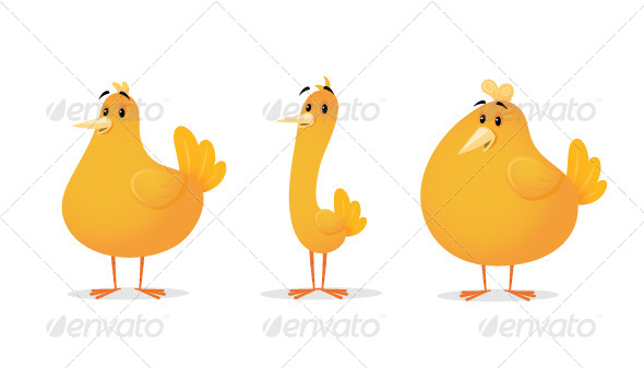 Chicken Chicken