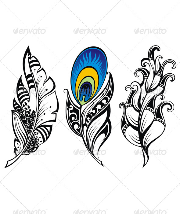 Feathers Feathers