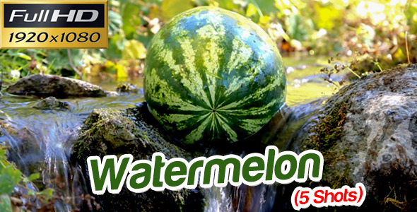 Watermelon Watermelon