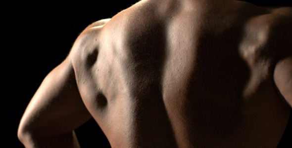 Exposing Training Results Exposing Training Results