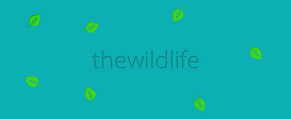 thewildlife