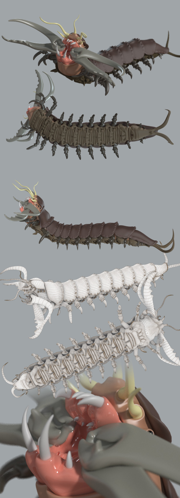 Bobbit worm - 3DOcean Item for Sale