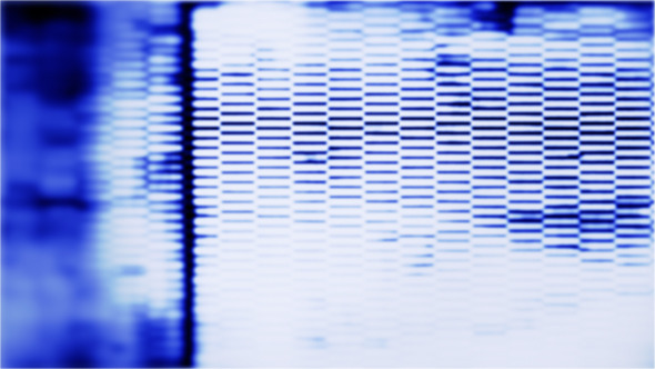 Data Background Data Background