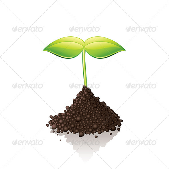 Growing Sprout Illustration Growing Sprout Illustration