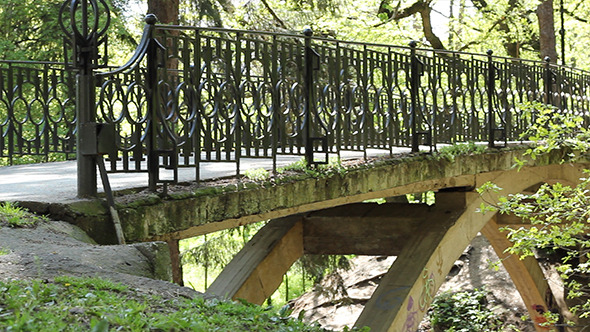 Pedestrian Large Bridge in the Park Pedestrian Large Bridge in the Park