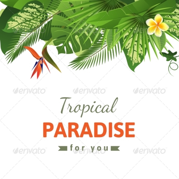 'Graphicriver