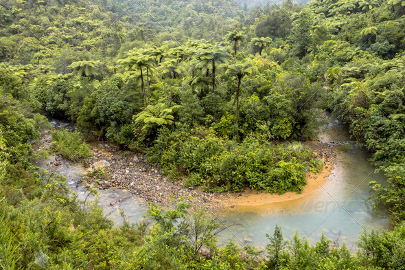 Meandering creek through Forested Hills of New Zealand