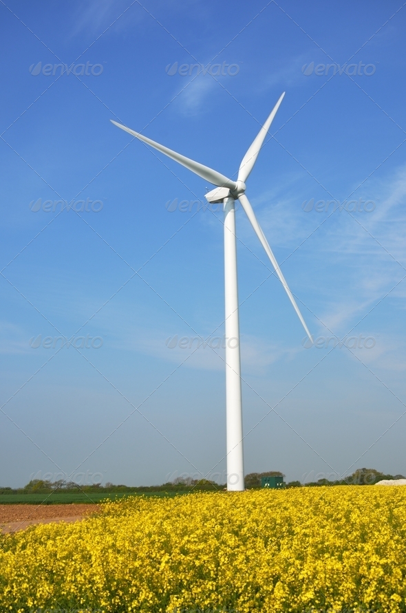 wind turbine on farm