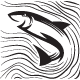 BlackSalmon