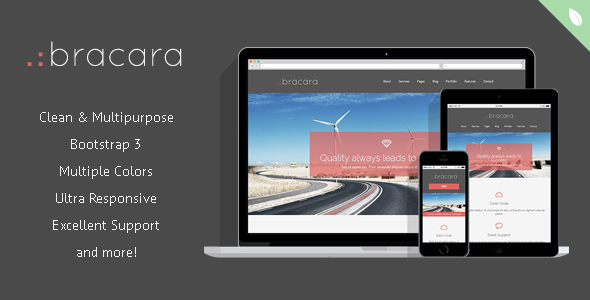 Bracara - Responsive Drupal Theme