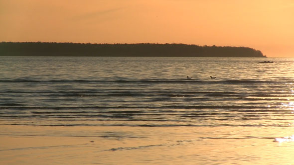 Beach And Sea With A Sunset Beach And Sea With A Sunset