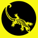 FlipNGecko