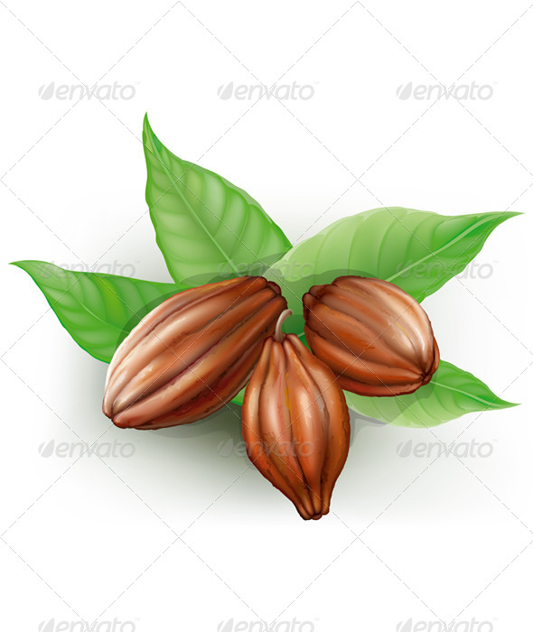 Cocoa Fruits