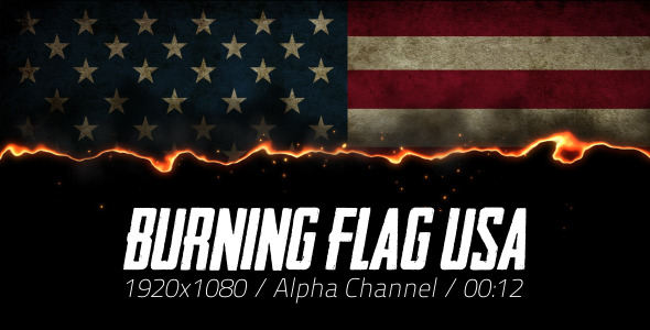 Burning Flag USA 2 Burning Flag USA 2
