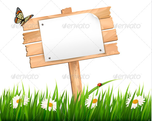 Nature Background with Green Grass and Flowers Nature Background with Green Grass and Flowers