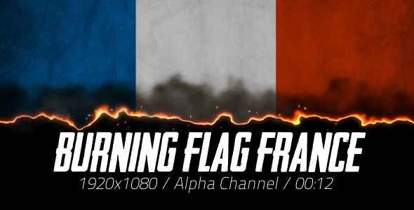 Burning Flag France Burning Flag France