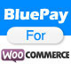 BluePay Payment Gateway For WooCommerce BluePay Payment Gateway For WooCommerce - CodeCanyon Item for Sale