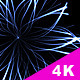 Light Tentacles Backgrounds - 6 Videos With Matte Light Tentacles Backgrounds - 6 Videos With Matte - VideoHive Item for Sale