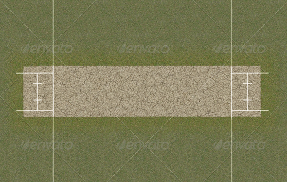 Cricket Pitch Top View