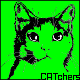 CodeCanyon profile picture for @CATchers