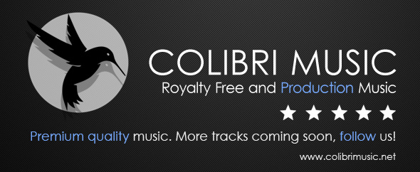 Top banner colibri