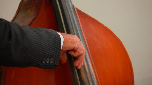 Contrabass Contrabass
