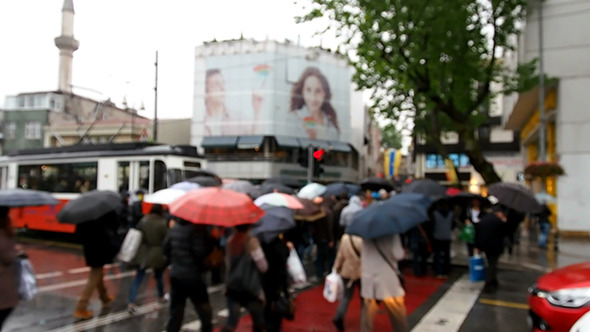 People at the Traffic Lights People at the Traffic Lights