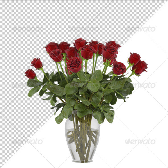 Flowers Red Rose Flowers Red Rose