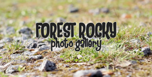 实拍+后期,摆放在小石块草地上的相片记忆AE模板 Forest Rocky Photo Gallery实拍,后期,放在,石块,相片 - AE资源网 www.aeziyuan.com