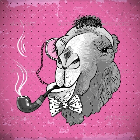 Vintage Card Hipster Animal Camel with pipe Vintage Card Hipster Animal Camel with pipe