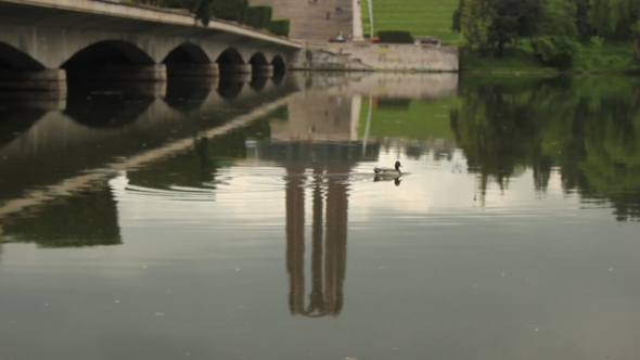 Water Reflection 2 Water Reflection 2