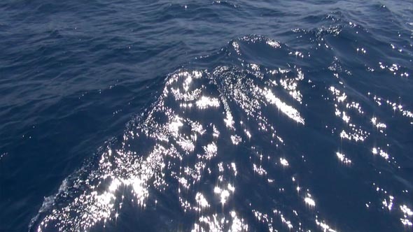 Background Video Deep Blue Sea Background Video Deep Blue Sea