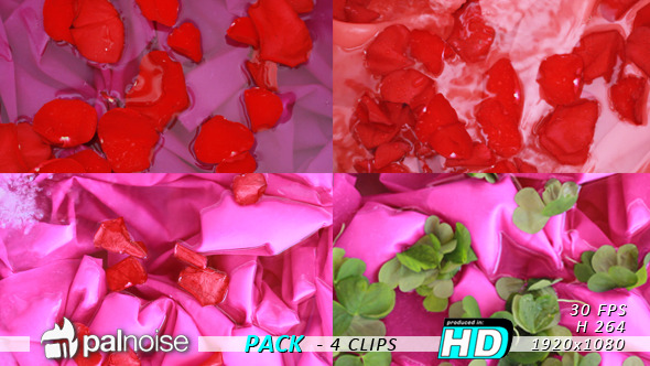Petals 4-Pack Petals 4-Pack