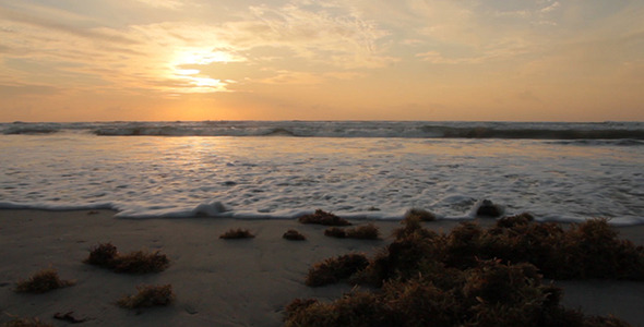 Beach Sunrise And Waves Beach Sunrise And Waves