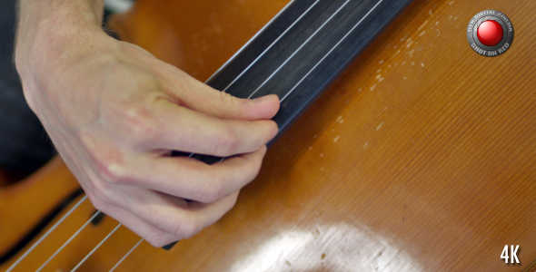 Cello s Strings Cello s Strings